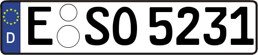 E-SO5231