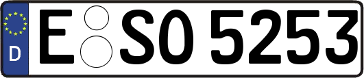 E-SO5253