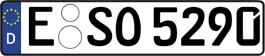 E-SO5290