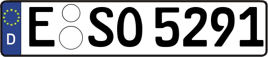 E-SO5291