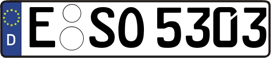 E-SO5303
