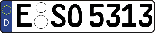 E-SO5313