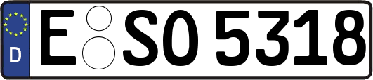 E-SO5318