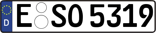 E-SO5319