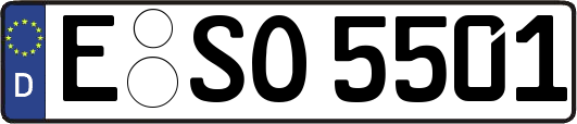 E-SO5501