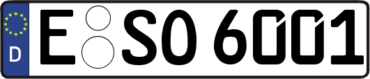 E-SO6001