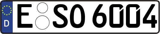 E-SO6004