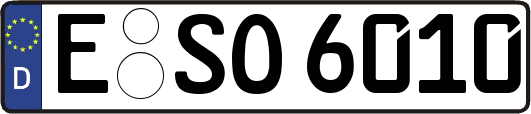 E-SO6010