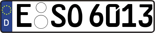 E-SO6013