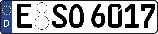 E-SO6017