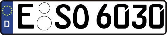 E-SO6030