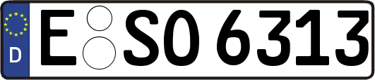 E-SO6313