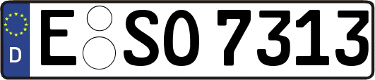 E-SO7313
