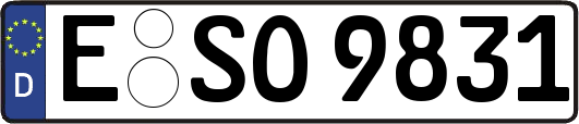 E-SO9831