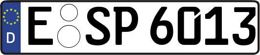 E-SP6013