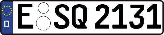 E-SQ2131