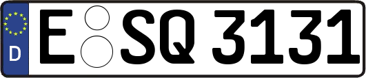 E-SQ3131