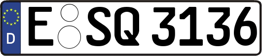 E-SQ3136