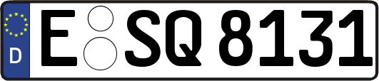 E-SQ8131