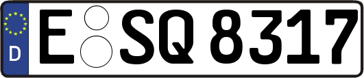E-SQ8317