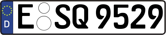 E-SQ9529