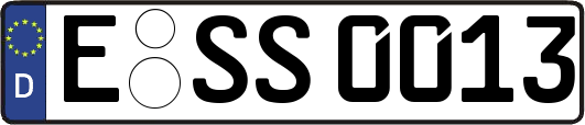 E-SS0013
