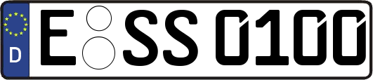 E-SS0100