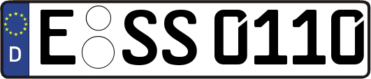 E-SS0110