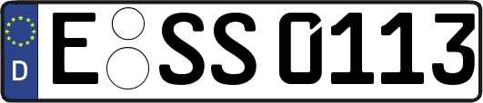 E-SS0113