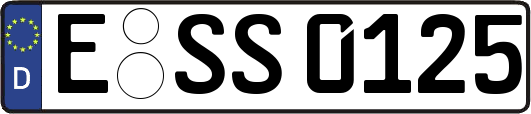 E-SS0125