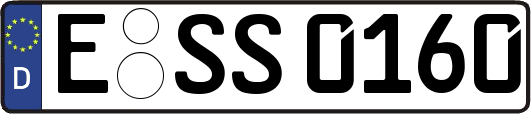 E-SS0160