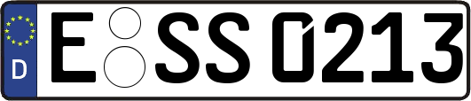 E-SS0213