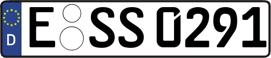 E-SS0291