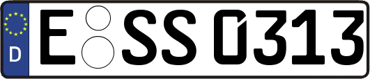 E-SS0313