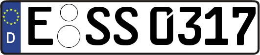 E-SS0317