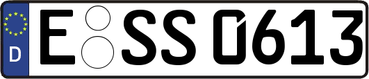 E-SS0613