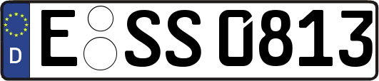 E-SS0813