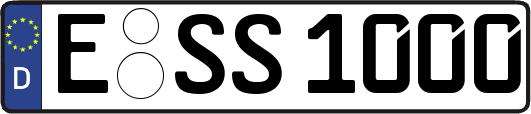 E-SS1000