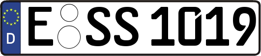 E-SS1019
