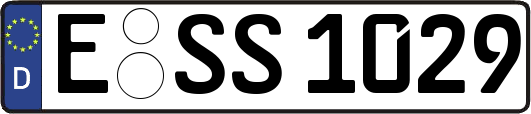 E-SS1029