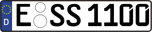E-SS1100