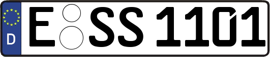 E-SS1101