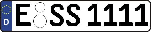 E-SS1111
