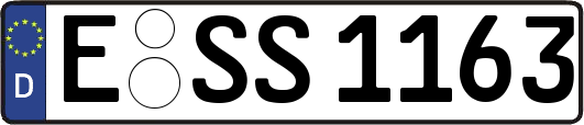 E-SS1163