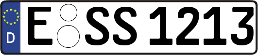 E-SS1213