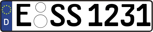 E-SS1231