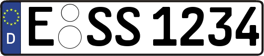 E-SS1234