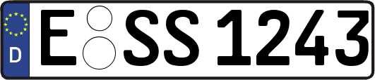 E-SS1243