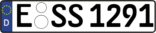 E-SS1291