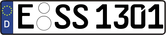 E-SS1301